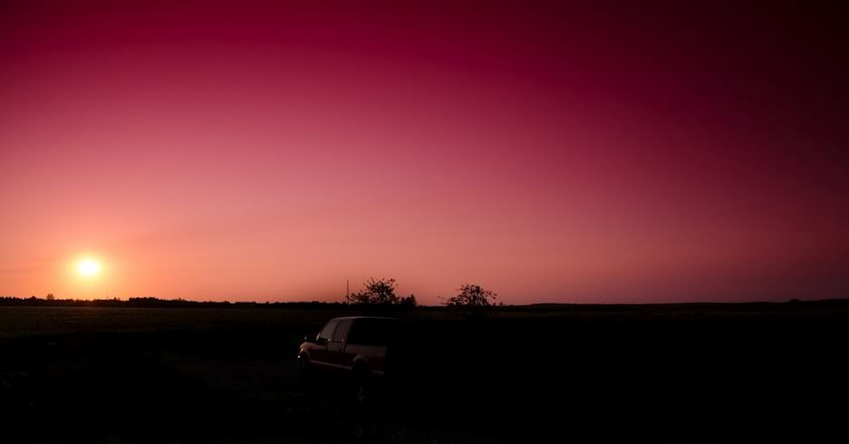 Pinkby447.jpg