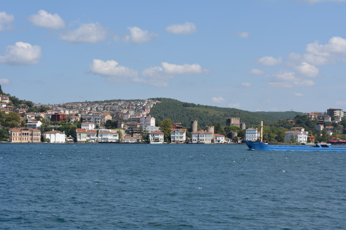 DSC-4778.jpg