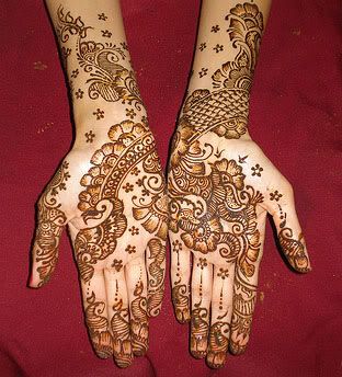 hena13.jpg