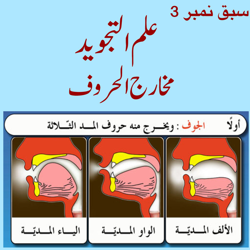 D15-FAC3-D-6-F87-448-F-A484-9-AAE1-EC9-DDFB.jpg