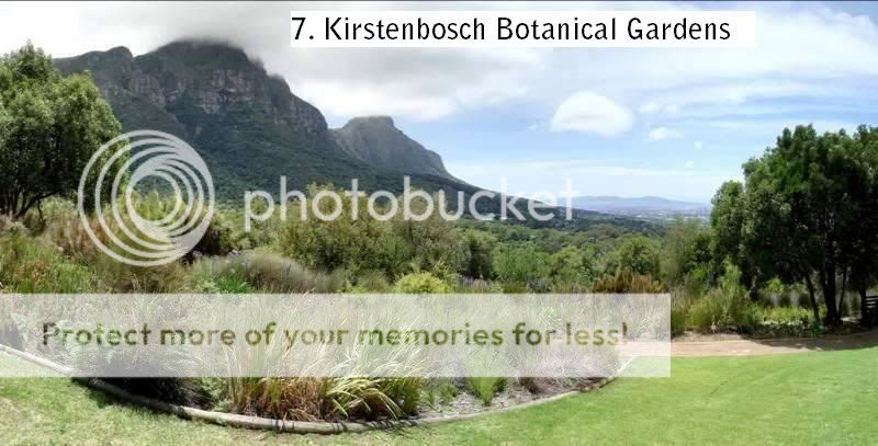 Picture16.jpg