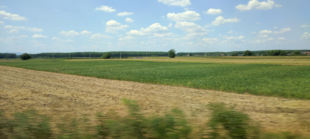 ss02.jpg