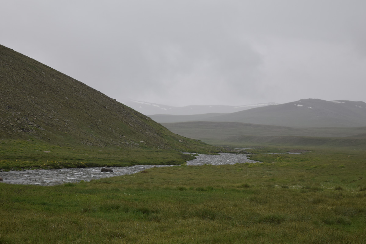 DSC-0711.jpg