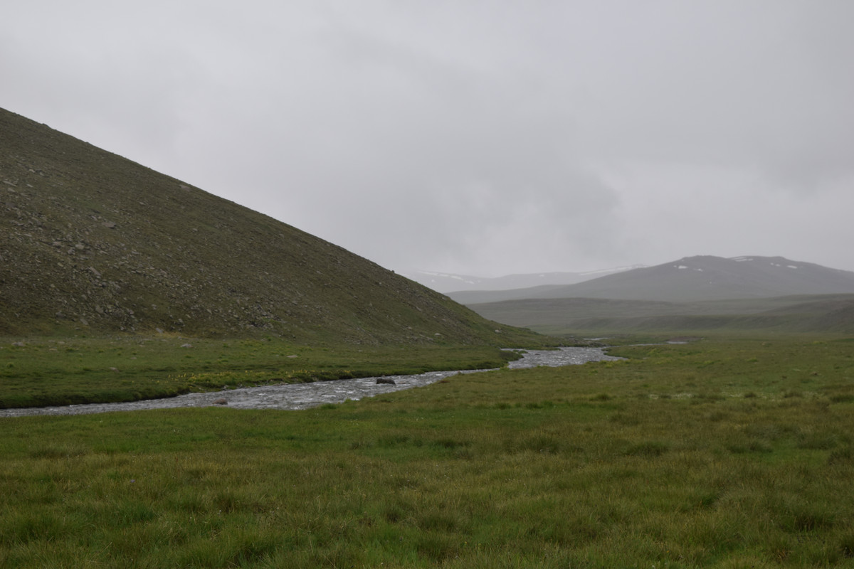 DSC-0710.jpg