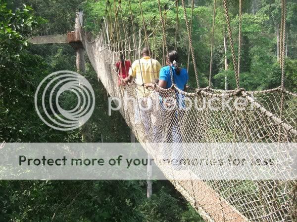 Canopy-Walk-Ghana-600x450.jpg