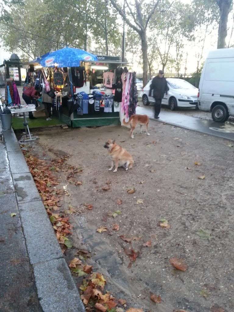 2012-11-02172613.jpg