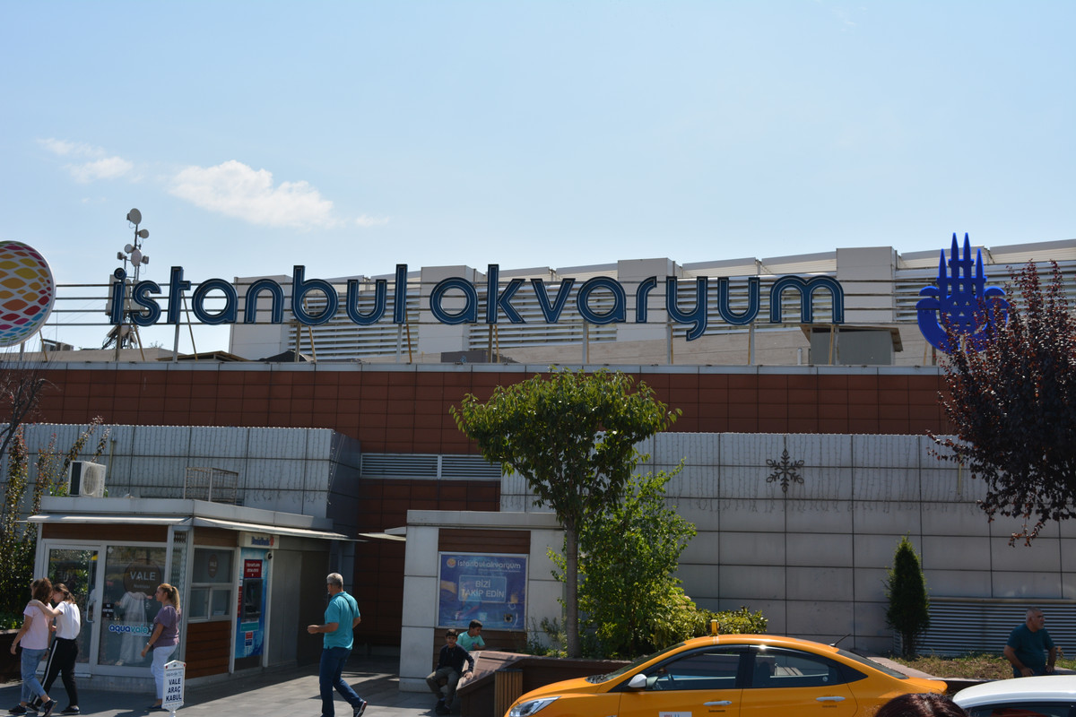 DSC-5734.jpg