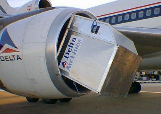 100.jpg
