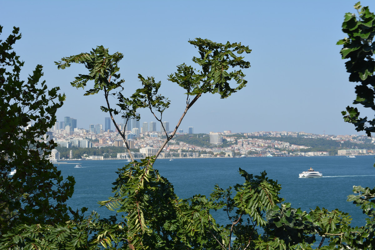 DSC-4270.jpg