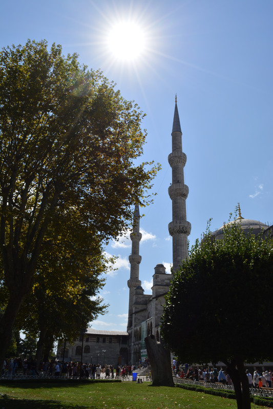 DSC-4578.jpg