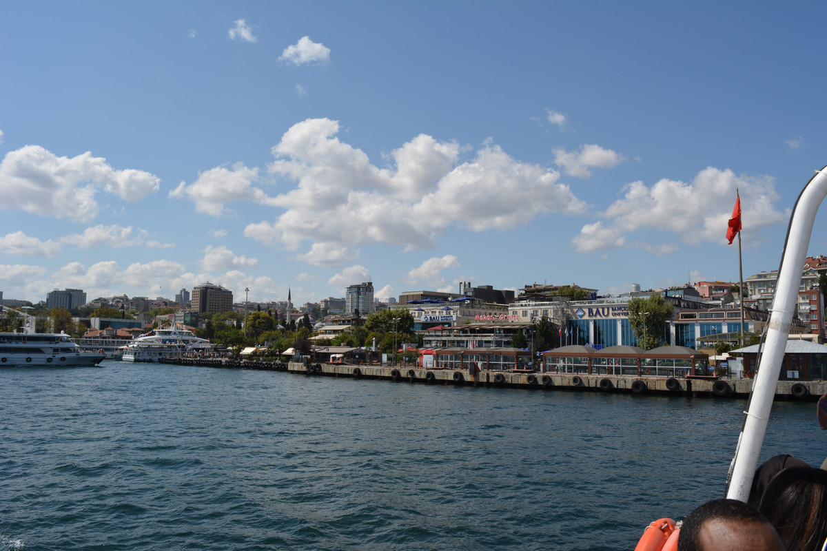 DSC-4706.jpg