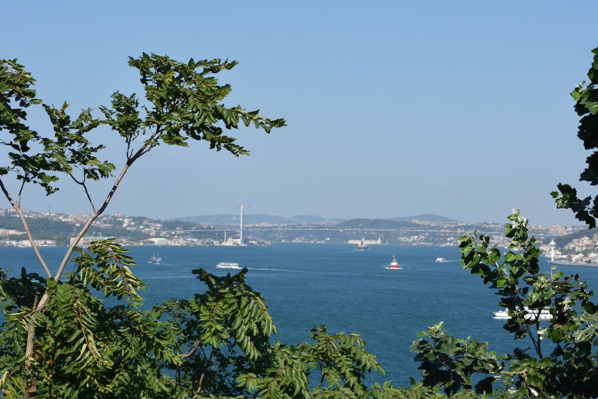 DSC-4271.jpg