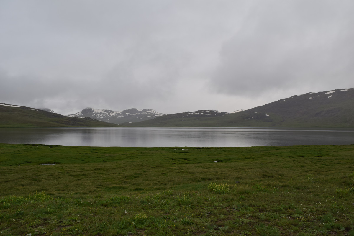 DSC-0816.jpg