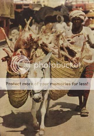 untitled10-10.jpg