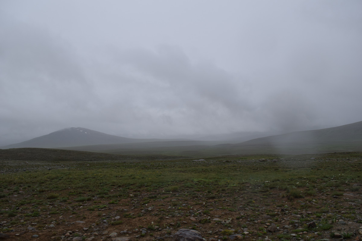 DSC-0691.jpg