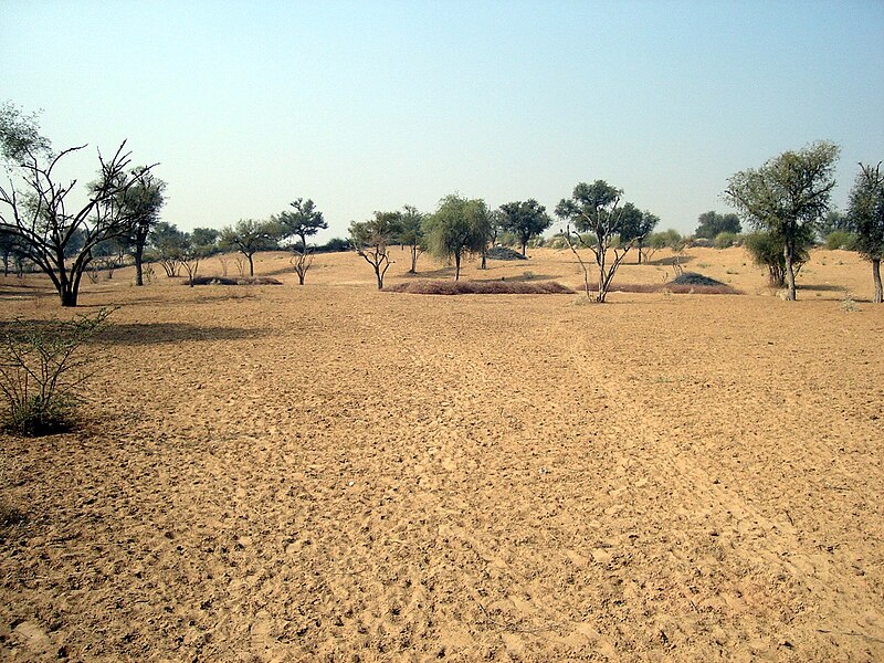 800px-Thar_Desert.JPG