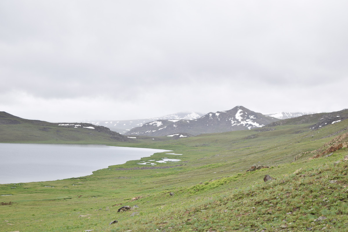 DSC-0543.jpg