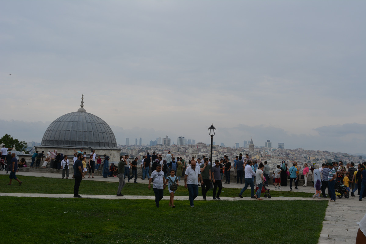 DSC-5871.jpg