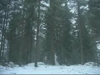 Movie003_00010.jpg