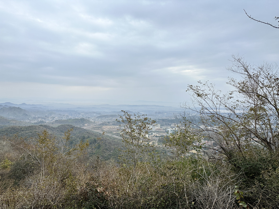IMG-1749.jpg