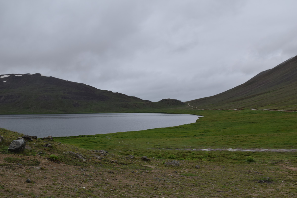 DSC-0562.jpg