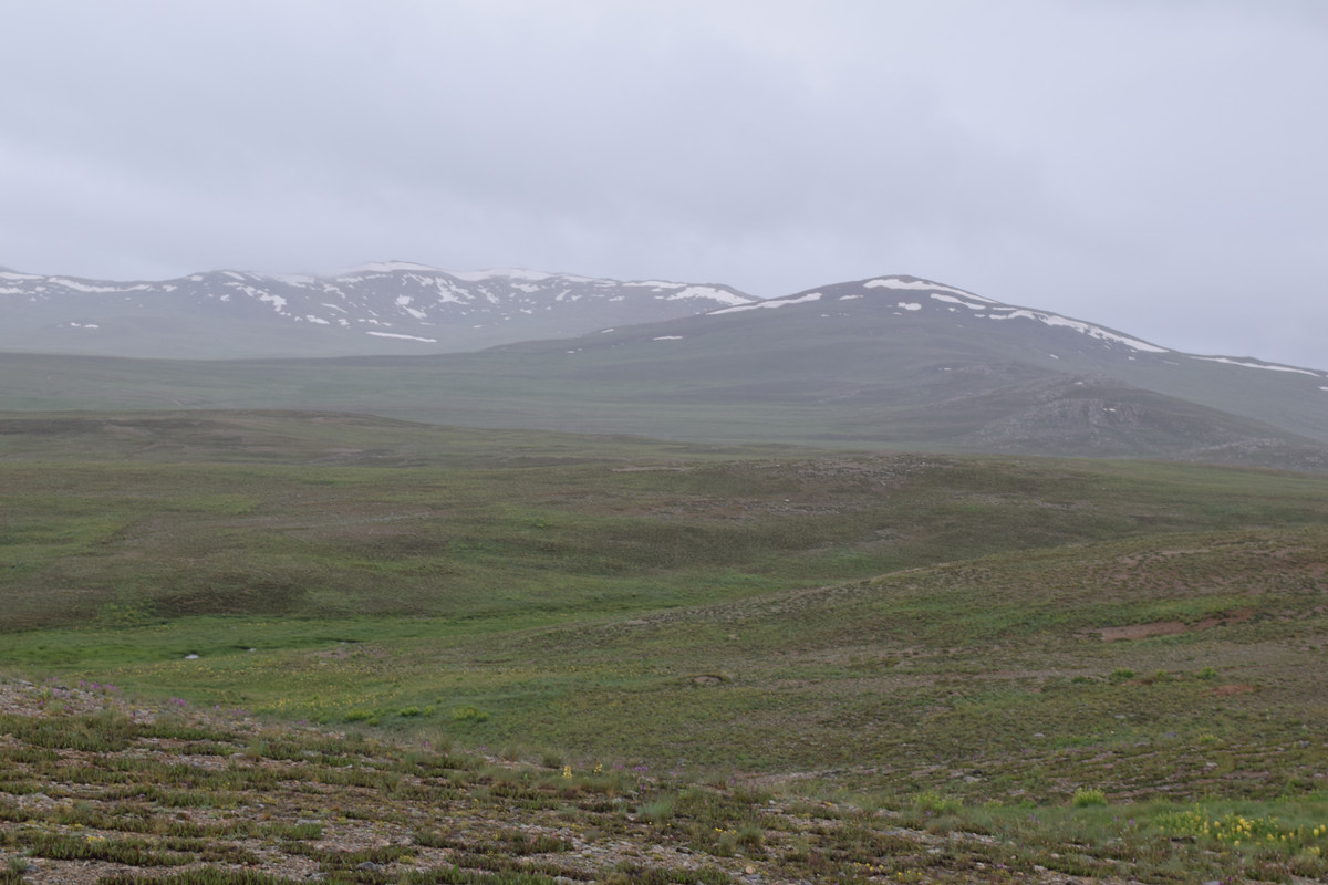 DSC-0744.jpg