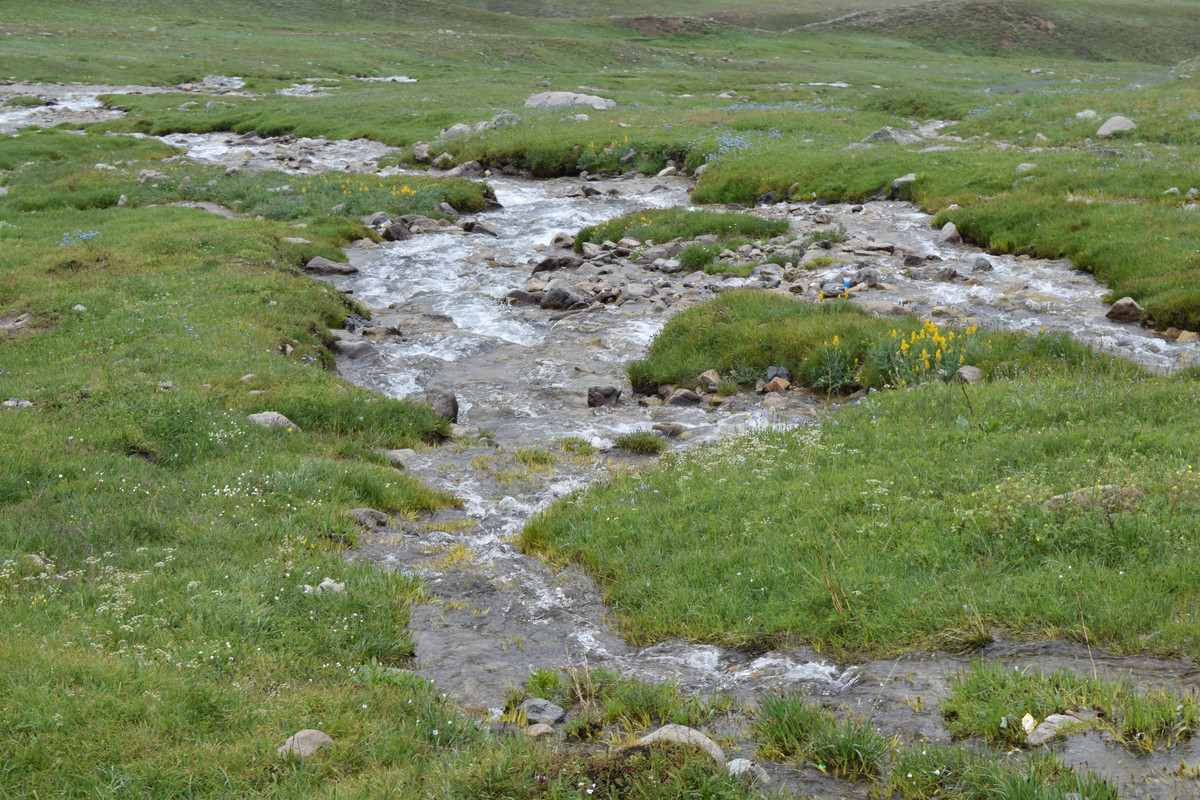 DSC-0531.jpg