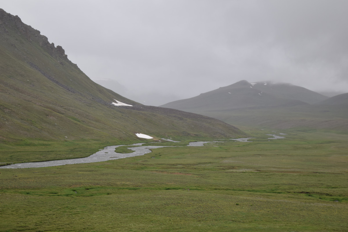 DSC-0705.jpg