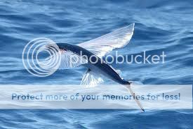 images-1.jpg
