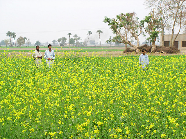 Bahawalnagar.jpg