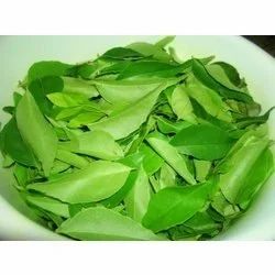 curry-leaves-sweet-neem-250x250.jpg