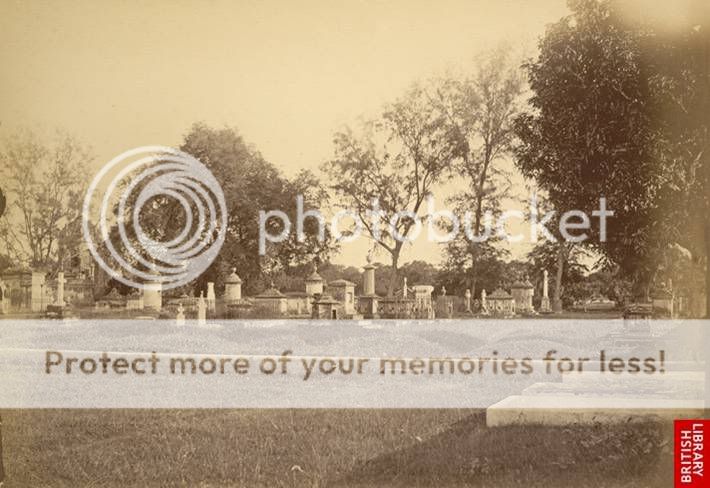 Picture33.jpg