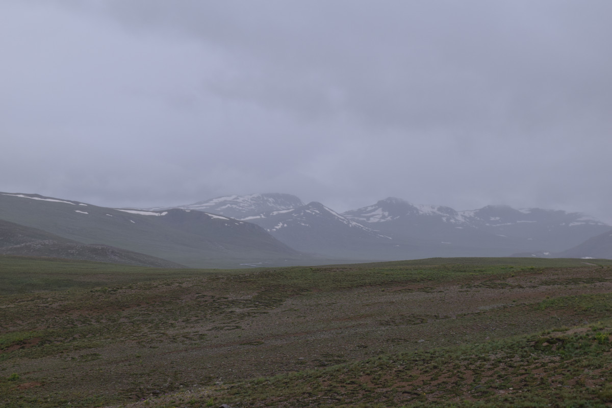 DSC-0746.jpg