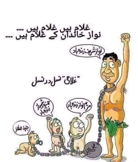 Whats-App-Image-2019-05-03-at-22-34-52.jpg