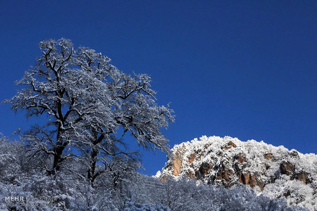 Snowy-Masouleh21.jpg