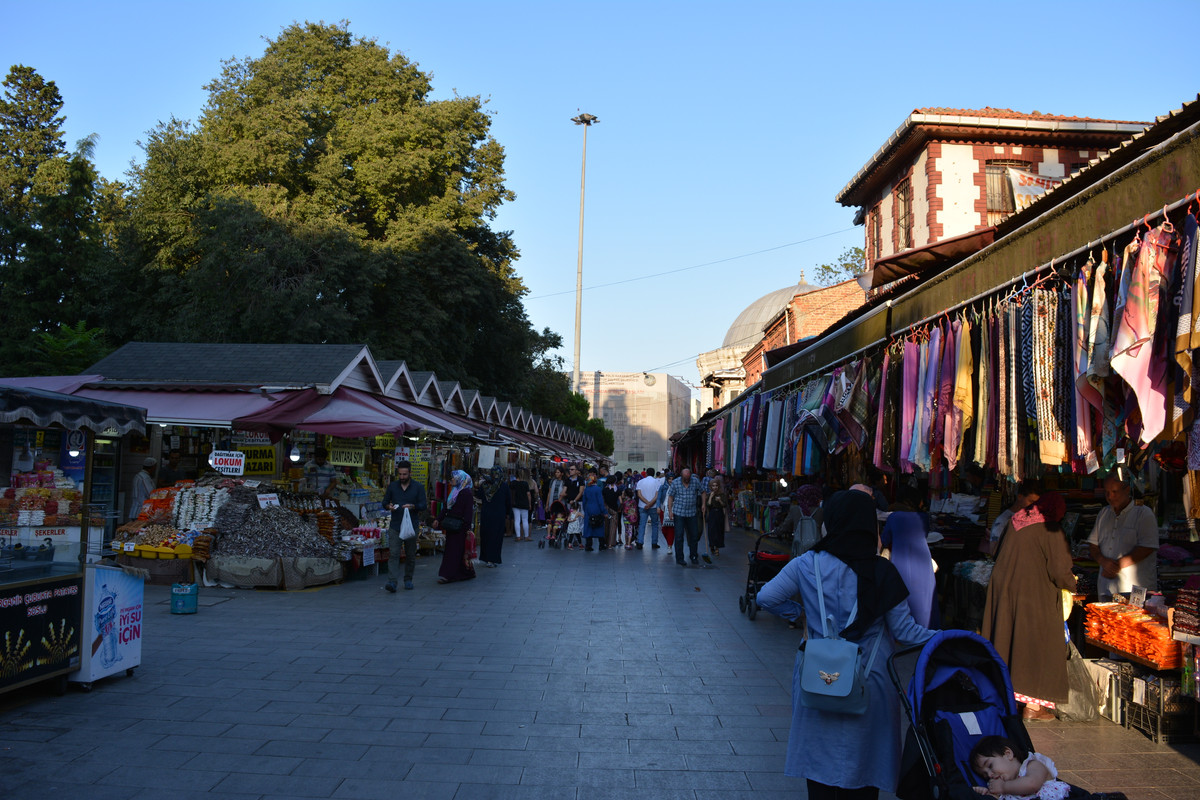 DSC-4538.jpg