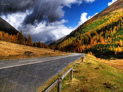 427a8000e313.gif