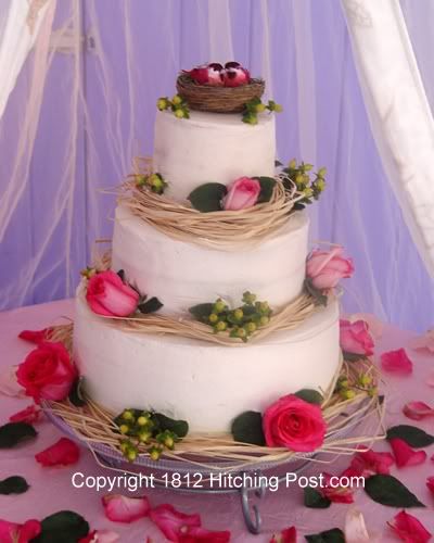 Birds_nest_Wedding_Cake.jpg