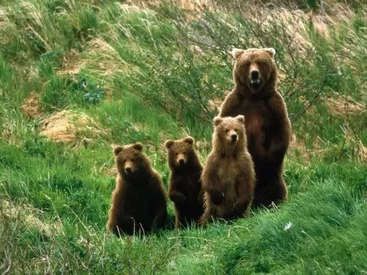 Animals_And_Their_Babies_8.jpg