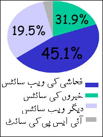 20060116130019net_usage_graphic.jpg