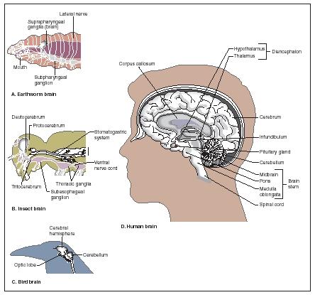 uesc_02_img0094.jpg