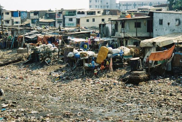 india_20.jpg