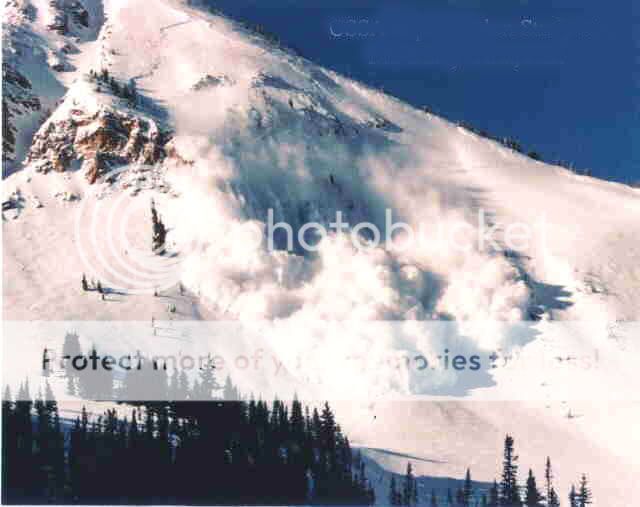 Avalanches3.jpg