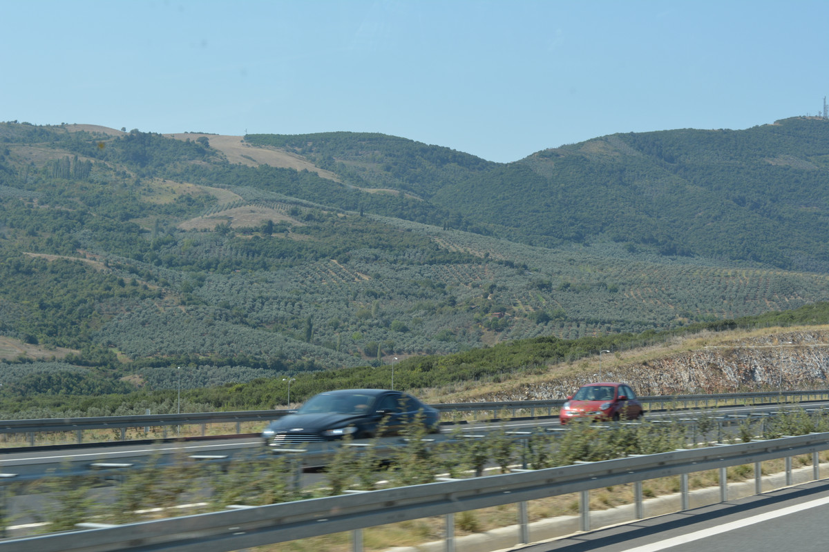 DSC-5076.jpg