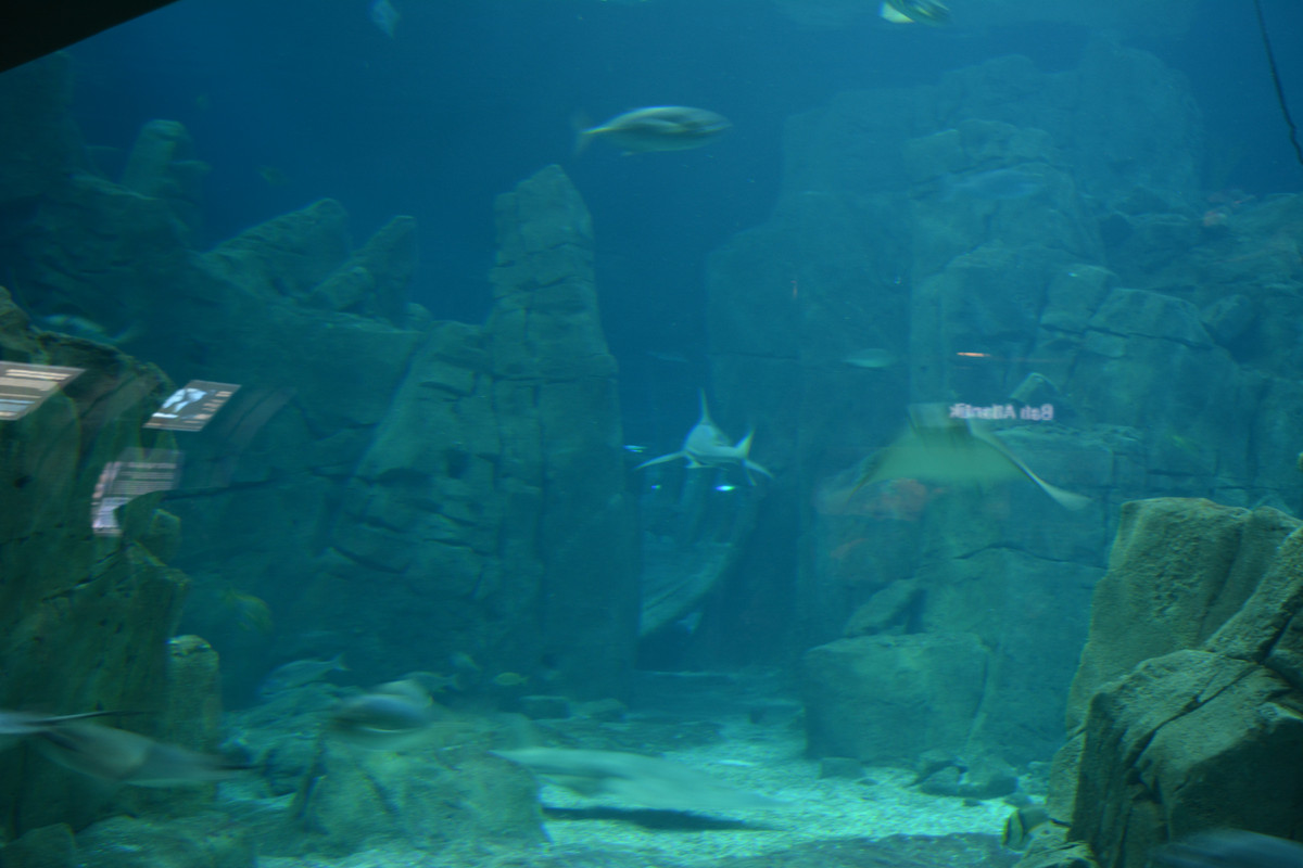 DSC-5664.jpg