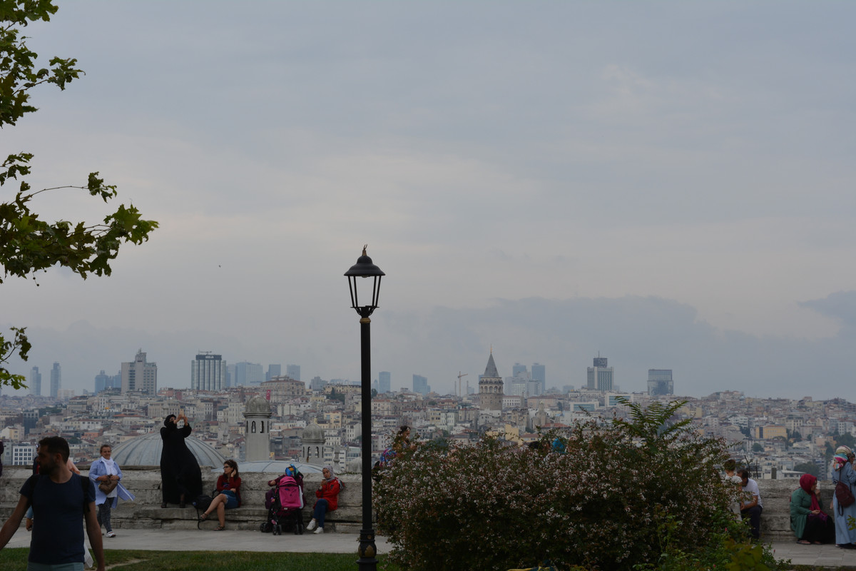 DSC-5866.jpg