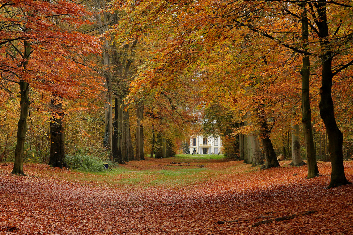 autumn.jpg
