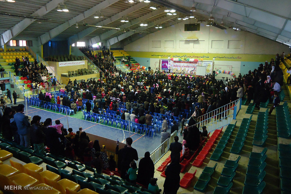764400.jpg