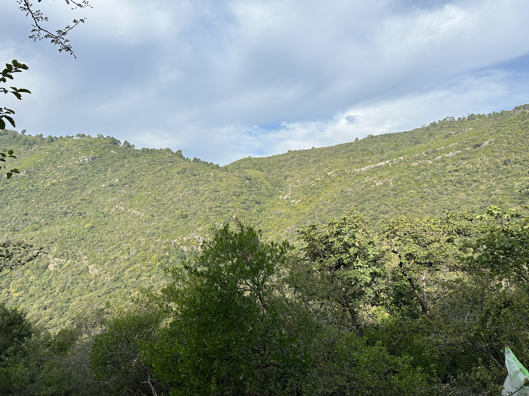 IMG-1059.jpg
