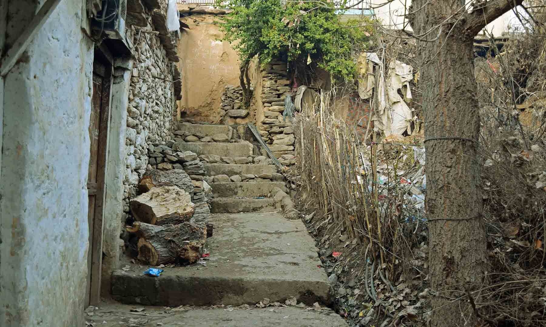 568f6e34ba6ef.jpg